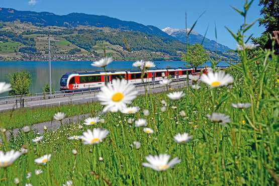 Kør med Brünig Ekspress mellem Luzern og Interlaken