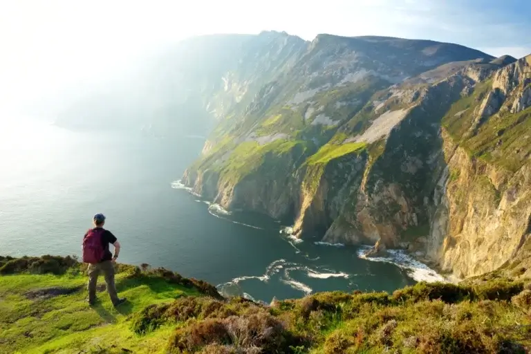 Donegal kippevægge