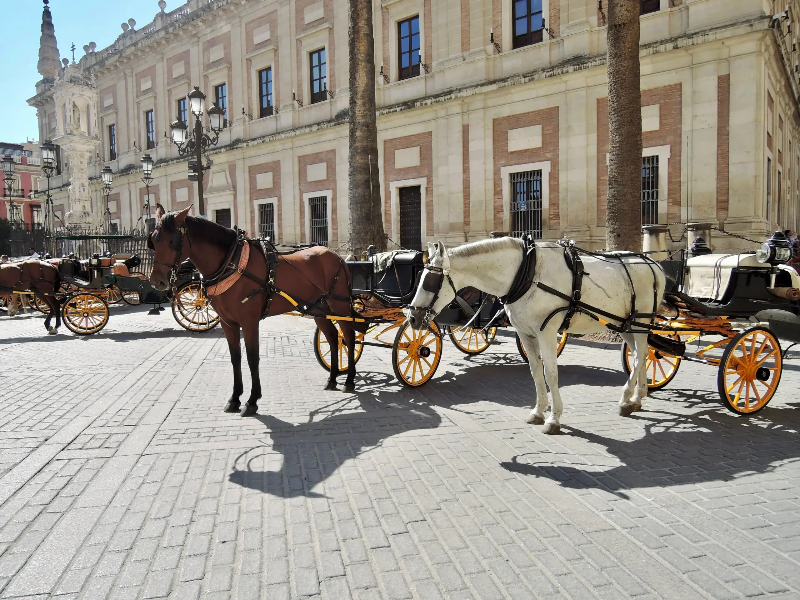 Tag med en af byens mange hestevogne – en charmerende måde at opleve det gamle Sevilla på.
