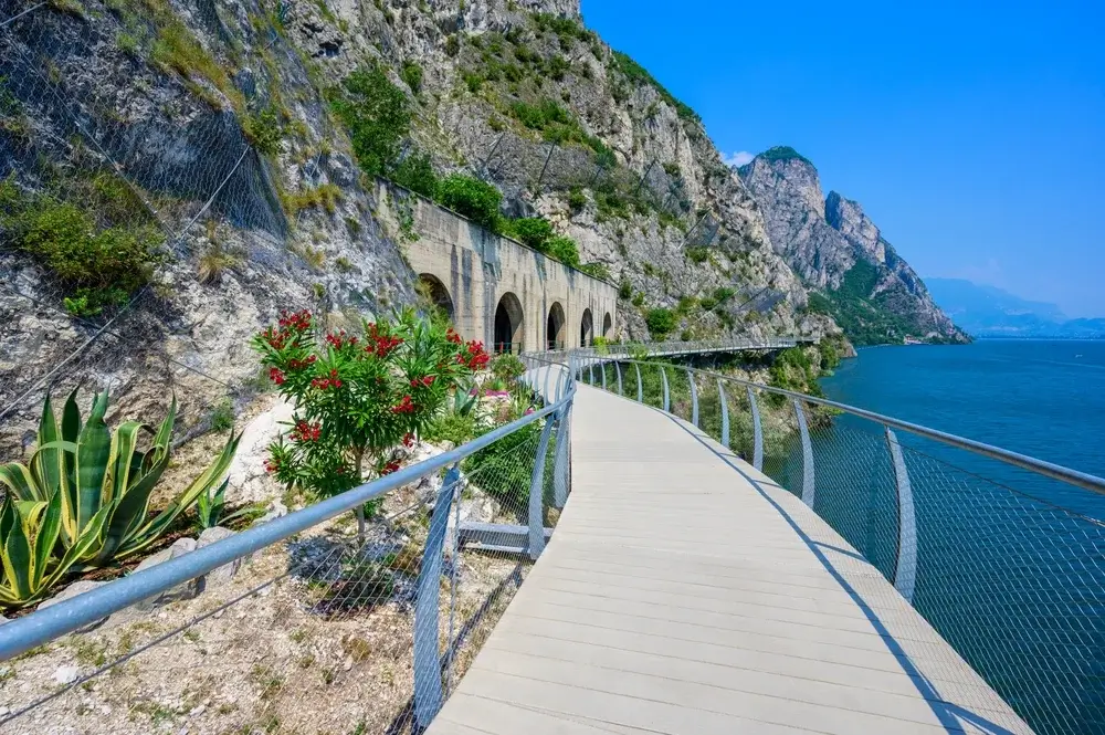 Smuk gangsti med udsigt