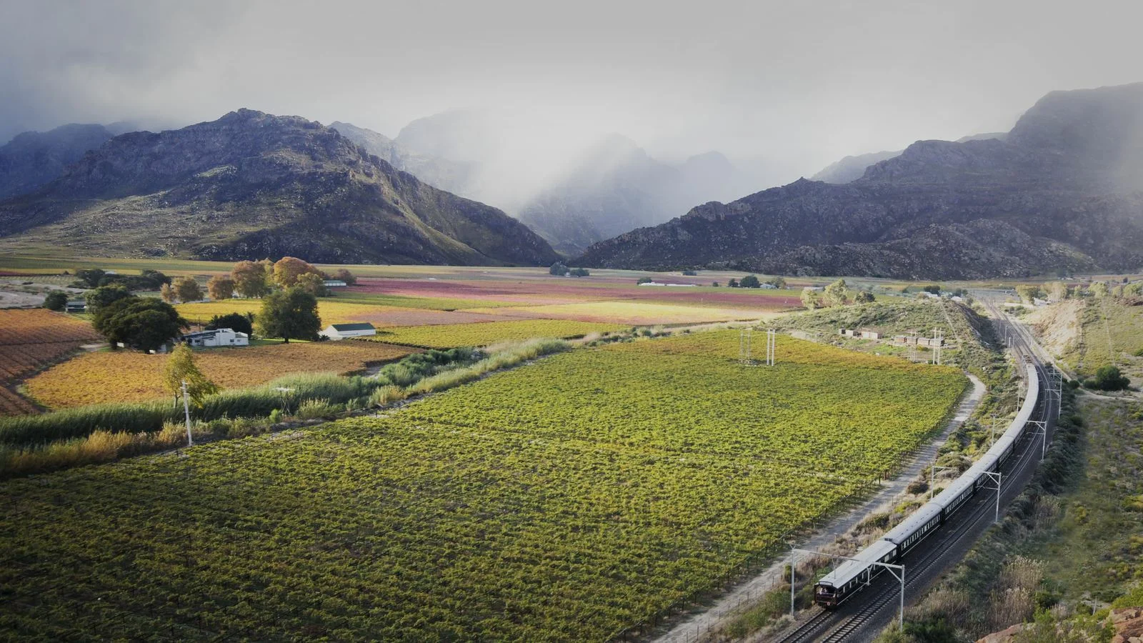 Rovos Rail gennem Hex River-dalens vinlandskab