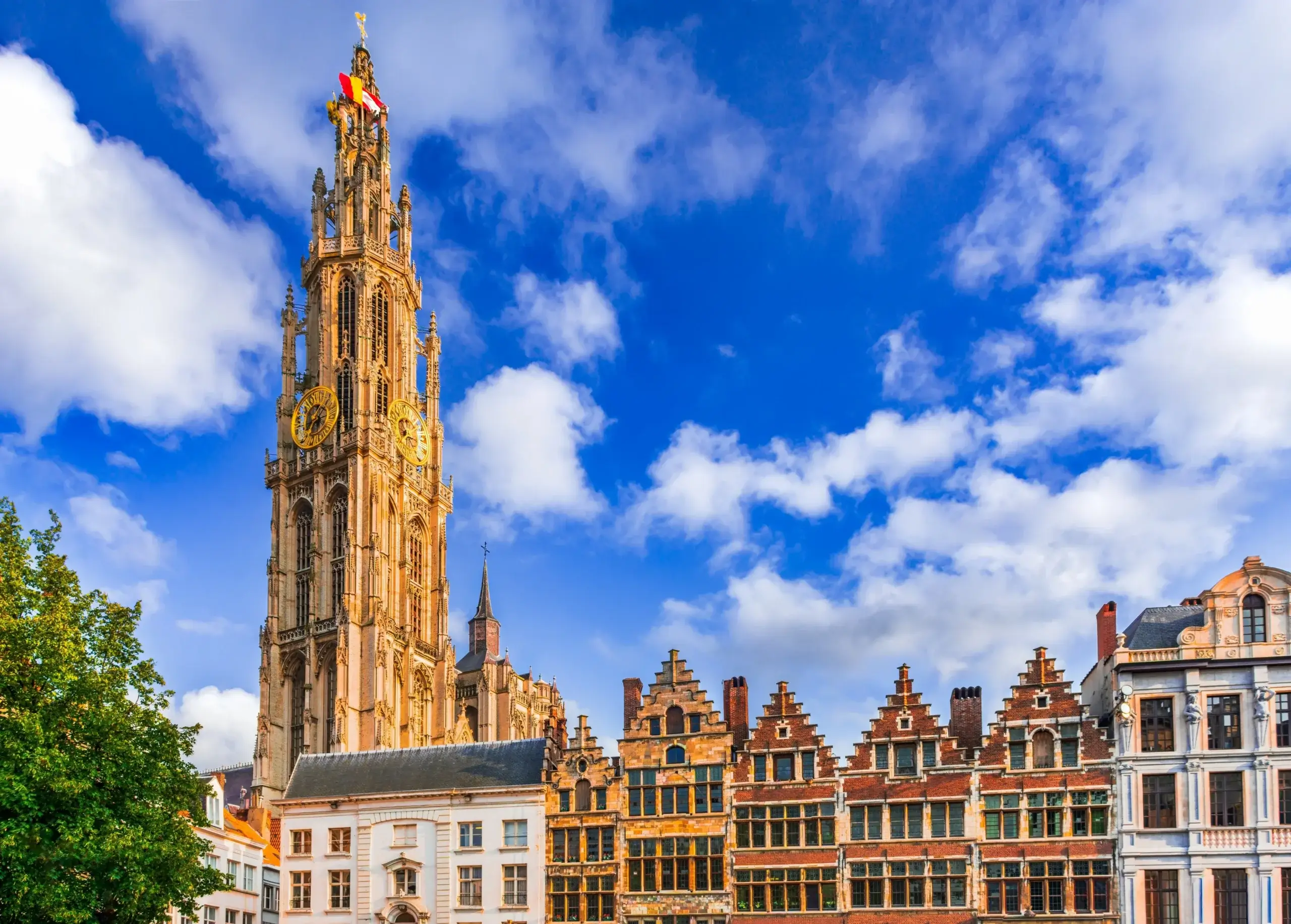 Laugshuse på Grote Markt i Antwerpen med tårnet på Vor Frue-katedralen under en blå himmel