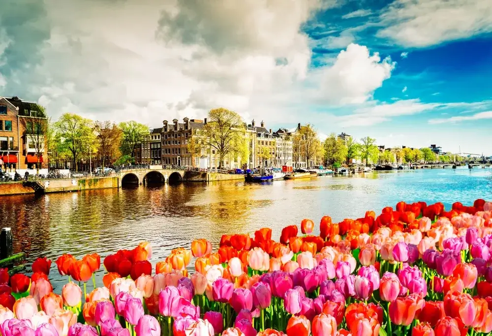 Forårstulipaner ved bredden af Amstel med huse og en bro i baggrunden