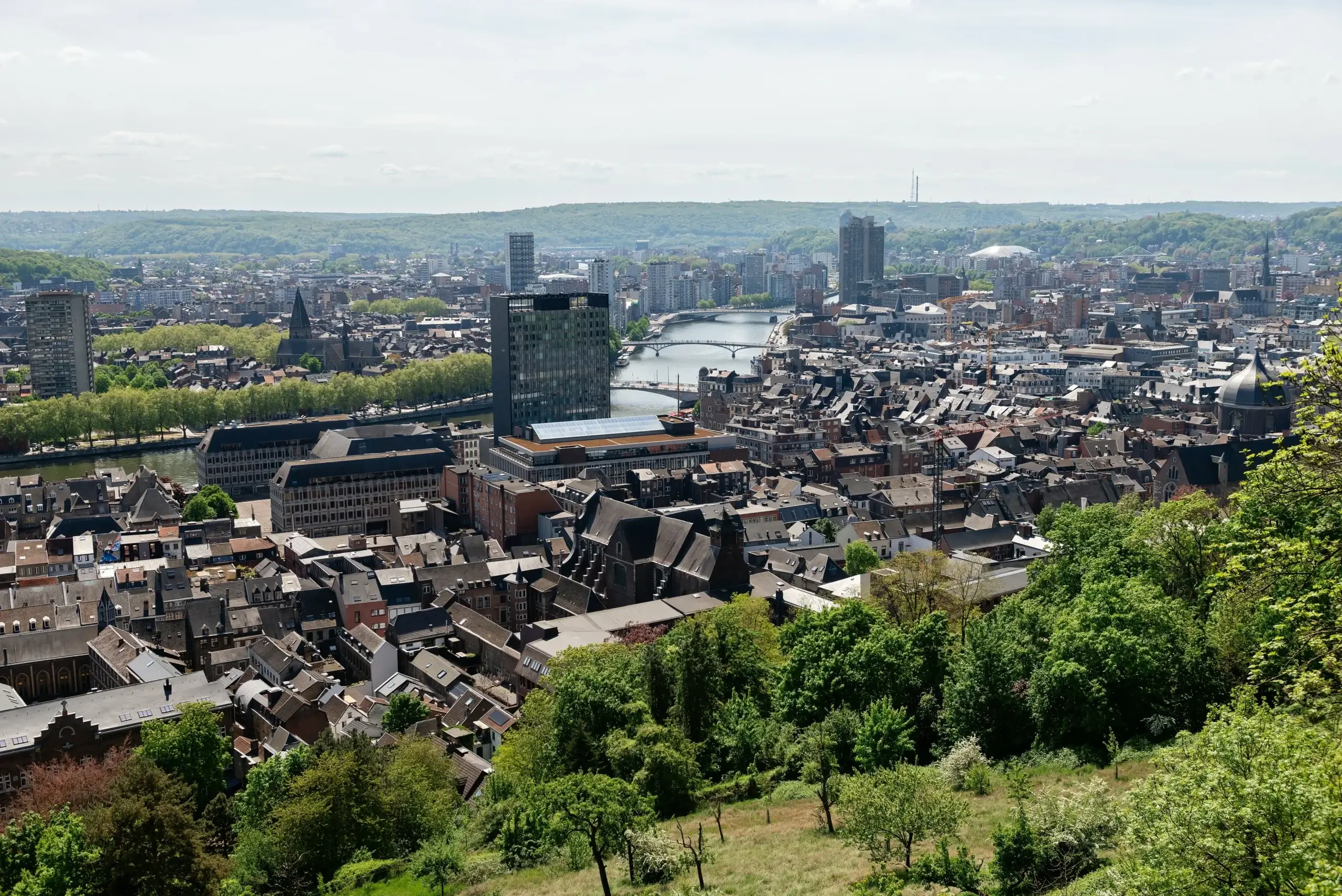 Panoramaudsigt over Liège og floden Meuse fra en grøn skrænt