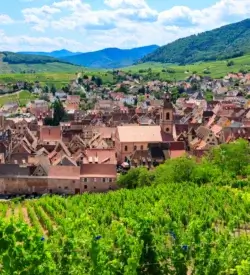 Vinlandsbyen Riquewihr set fra vinmarkerne på den alsaciske vinrute