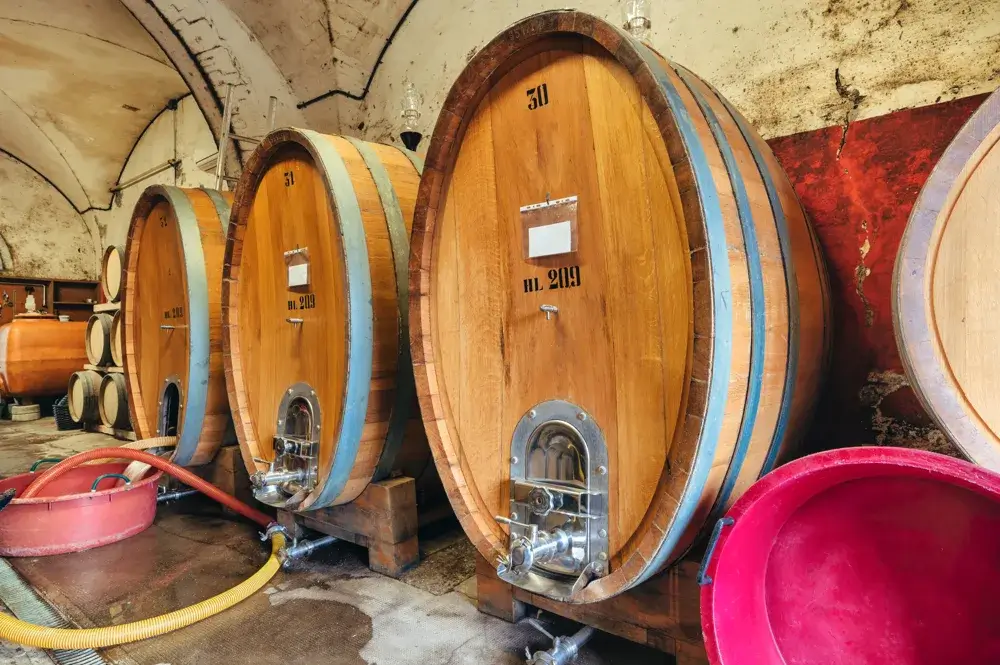 Store egetræsfade i en hvælvet vinkælder i Toscana