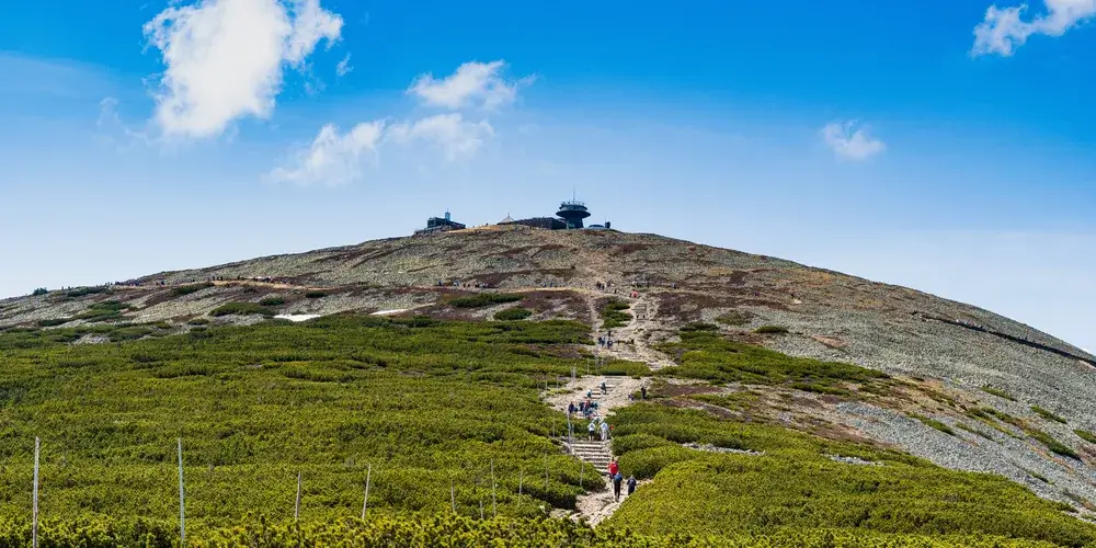 Vandresti op ad bjerget Śnieżka i Riesengebirge under blå himmel