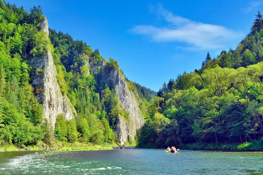 Flåder på floden Dunajec under kalkstensklipperne i Pieniny en sommerdag
