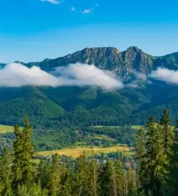 Udsigt over Zakopane og Tatrabjergene med skyer omkring tinderne og granskov i forgrunden