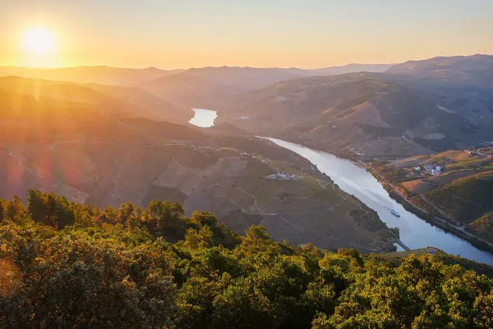 Solopgangslys over floden Douro og vinterrasserne i Dourodalen