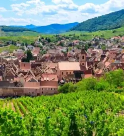 Vinlandsbyen Riquewihr set fra vinmarkerne på den alsaciske vinrute