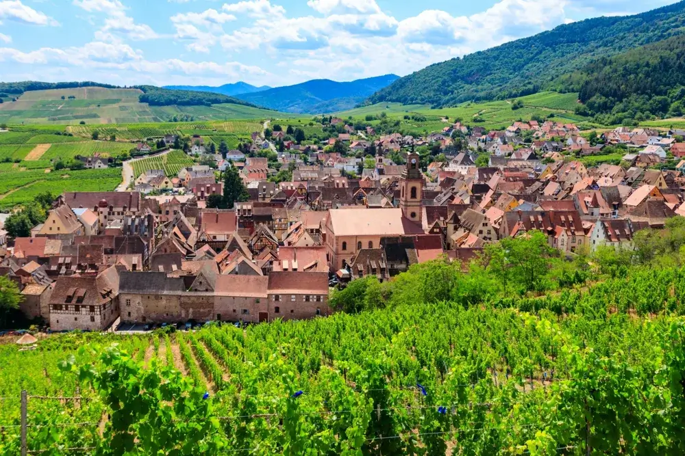 Vinlandsbyen Riquewihr set fra vinmarkerne på den alsaciske vinrute