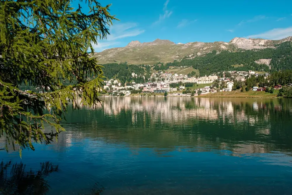 St. Moritz spejler sig i den stille sø en sommerdag med lærketræer i forgrunden