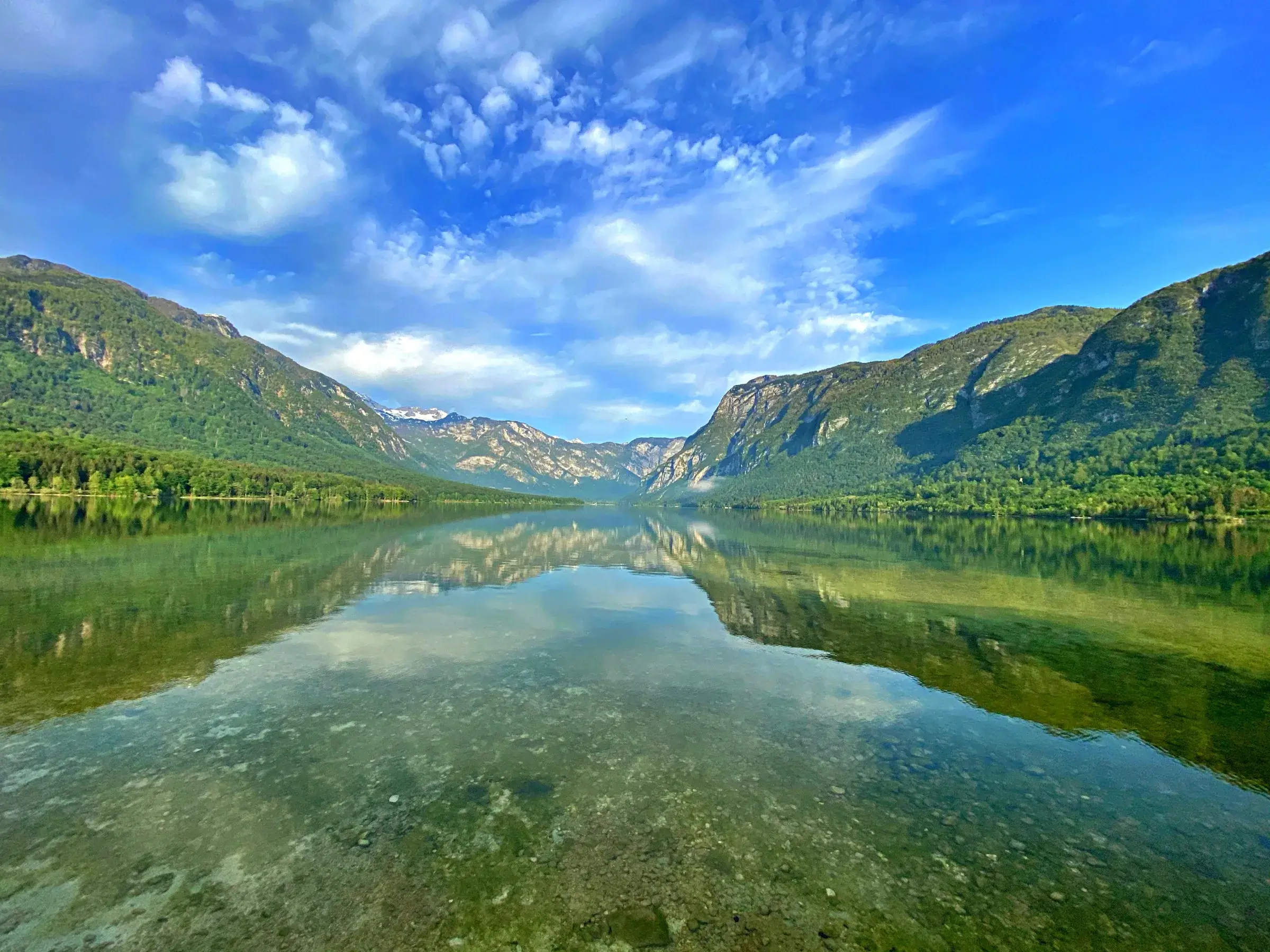 Den klare Bohinj-sø med bjergene i Triglav Nationalpark spejlet i vandet